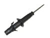 Amortiguador Shock Absorber:51605-SM5-A02