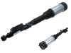 Stoßdämpfer Shock Absorber:220 320 50 13