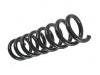 Fahrwerksfeder Coil Spring:210 321 29 04