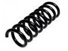 Coil spring:210 321 21 04