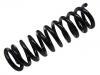 Fahrwerksfeder Coil spring:202 324 20 04