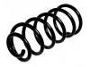 Coil spring:202 324 08 04