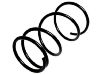 Fahrwerksfeder Coil Spring:48131-42021