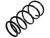 венцивидная пружина Coil Spring:48131-33750