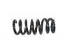 Muelle de chasis Coil Spring:48231-16750