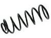 Coil Spring:55330-1C210