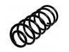Coil Spring:55330-1C211