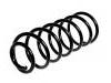 Coil Spring:55330-1C500
