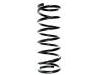 Coil Spring:55020-06J00