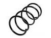 Coil Spring:54630-2F000