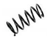 Coil Spring:55100-M2100