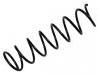 Fahrwerksfeder Coil Spring:48131-17710