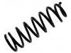 Ressort hélicoidal Coil Spring:48231-02310