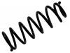 Coil Spring:48231-02480
