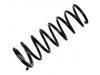 венцивидная пружина Coil Spring:55350-3F100