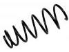 Coil Spring:48131-74040