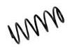 Ressort hélicoidal Coil Spring:55330-1P000