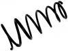 Ressort hélicoidal Coil Spring:55330-2F010