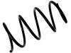 Coil Spring:48131-02A10