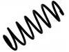 Fahrwerksfeder Coil Spring:5102.N6