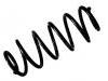 Coil Spring:48131-02870