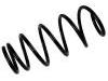 Fahrwerksfeder Coil Spring:48131-52F40