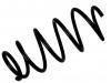 Fahrwerksfeder Coil Spring:48131-52F30