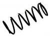Fahrwerksfeder Coil Spring:48131-46020
