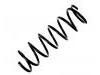 Muelle de chasis Coil Spring:48231-2A420