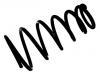 Coil Spring:48231-48071