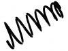 Coil Spring:48231-48041