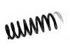 Coil Spring:55350-2Y811