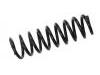 Coil Spring:55350-A6510