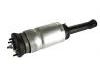 Amortiguador Shock Absorber:RNB501620